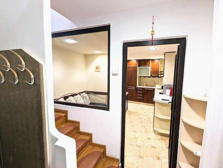 Maisonette Balcesco Брашов Екстериор снимка